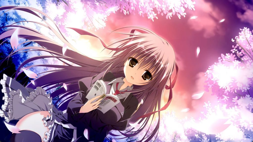 bd04c5a45f2097a4032485ab44e7f01