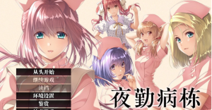 【日式ADV/中文】夜勤病栋 官中步兵版【新作/810M】-游戏之家
