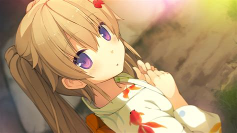 785714a84333c4519f7c5551de2e1fd