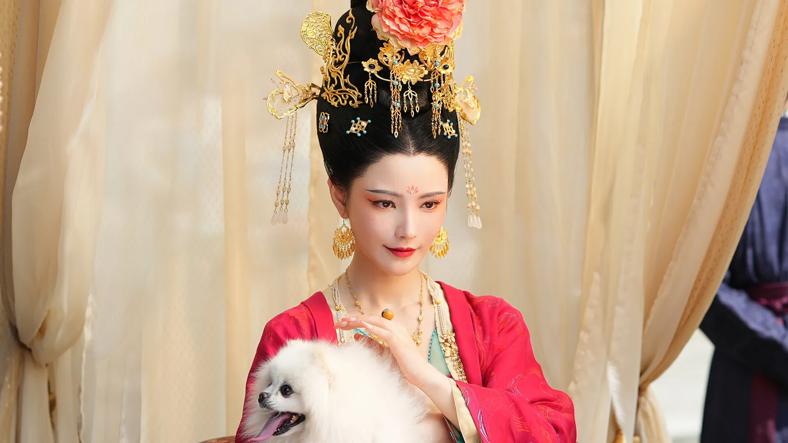 盛世天下媚娘篇宫廷人物画面