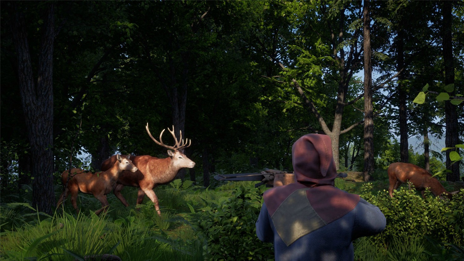 《中世纪王朝》v2.3.0.7中文版-趣奇资源网-第7张图片