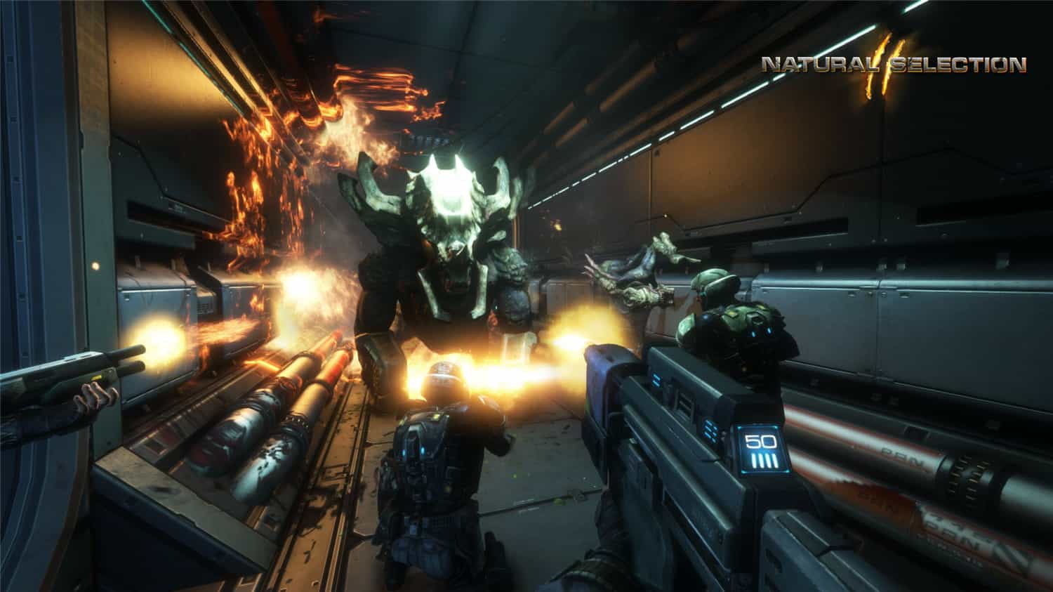 《物竞天择2》Build.344原版英文-趣奇资源网-第10张图片